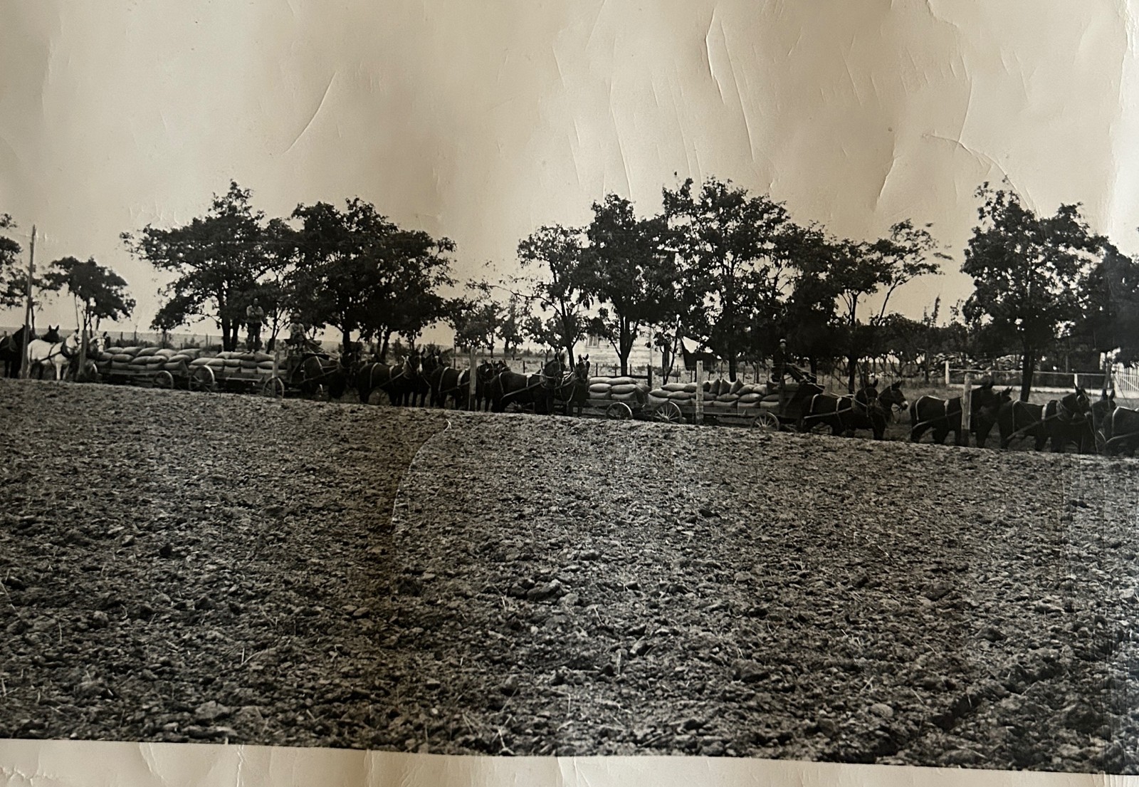 1910 EASTERN WASHINGTON NEAR SPOKANE UNKNOWN FARM SCENE PANORAMIC PHOTO