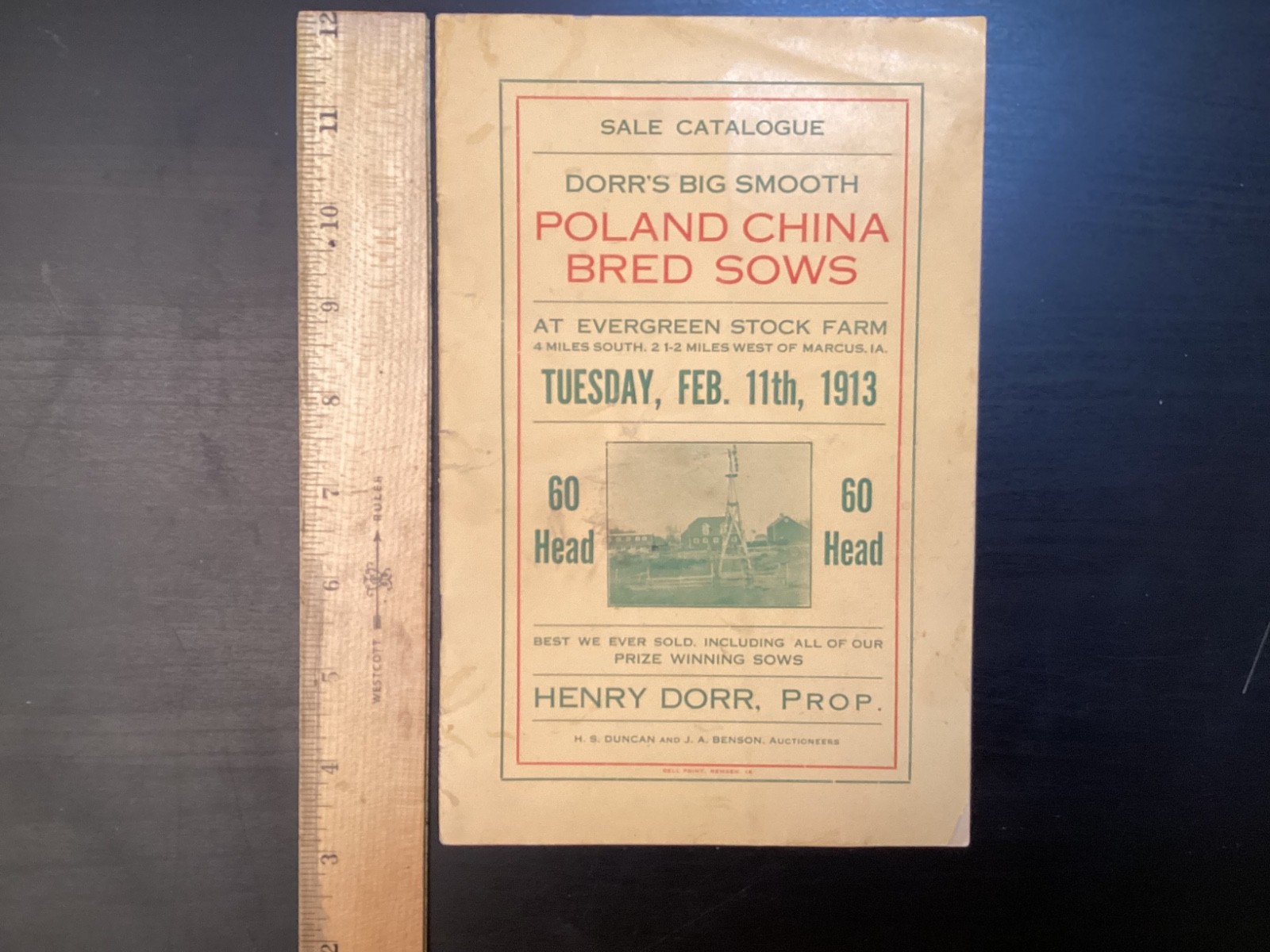 1913 Poland China Sows Sale Catalogue, Henry Dorr, Marcus IA
