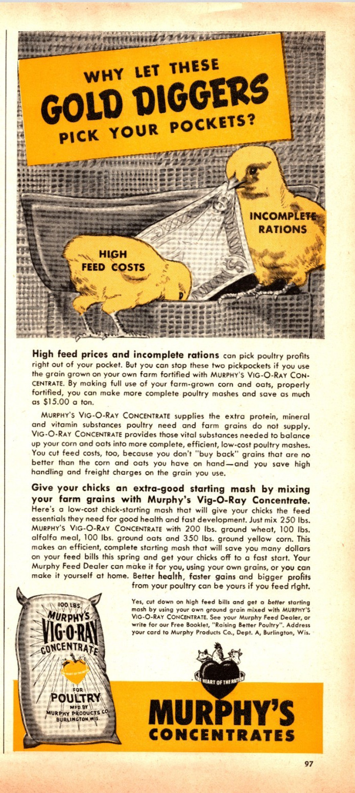Original 1950 – Murphy&rsquo;s Concentrates Chicken Feed – Print Ad (5.5in x 12in)