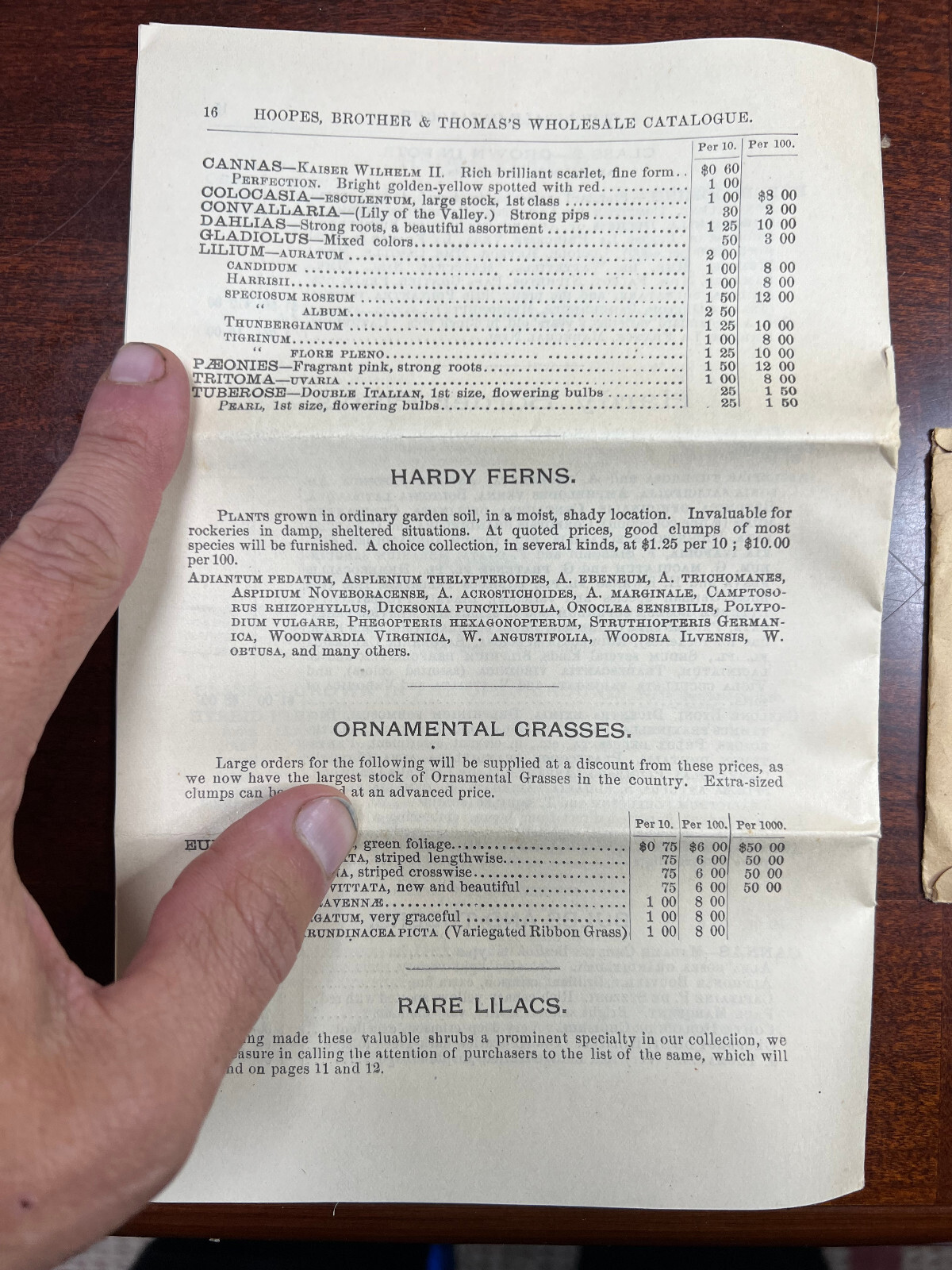 Hoopes Bro & Thomas Maple Ave Nurseries West Chester, Pa Catalogue & Envelope