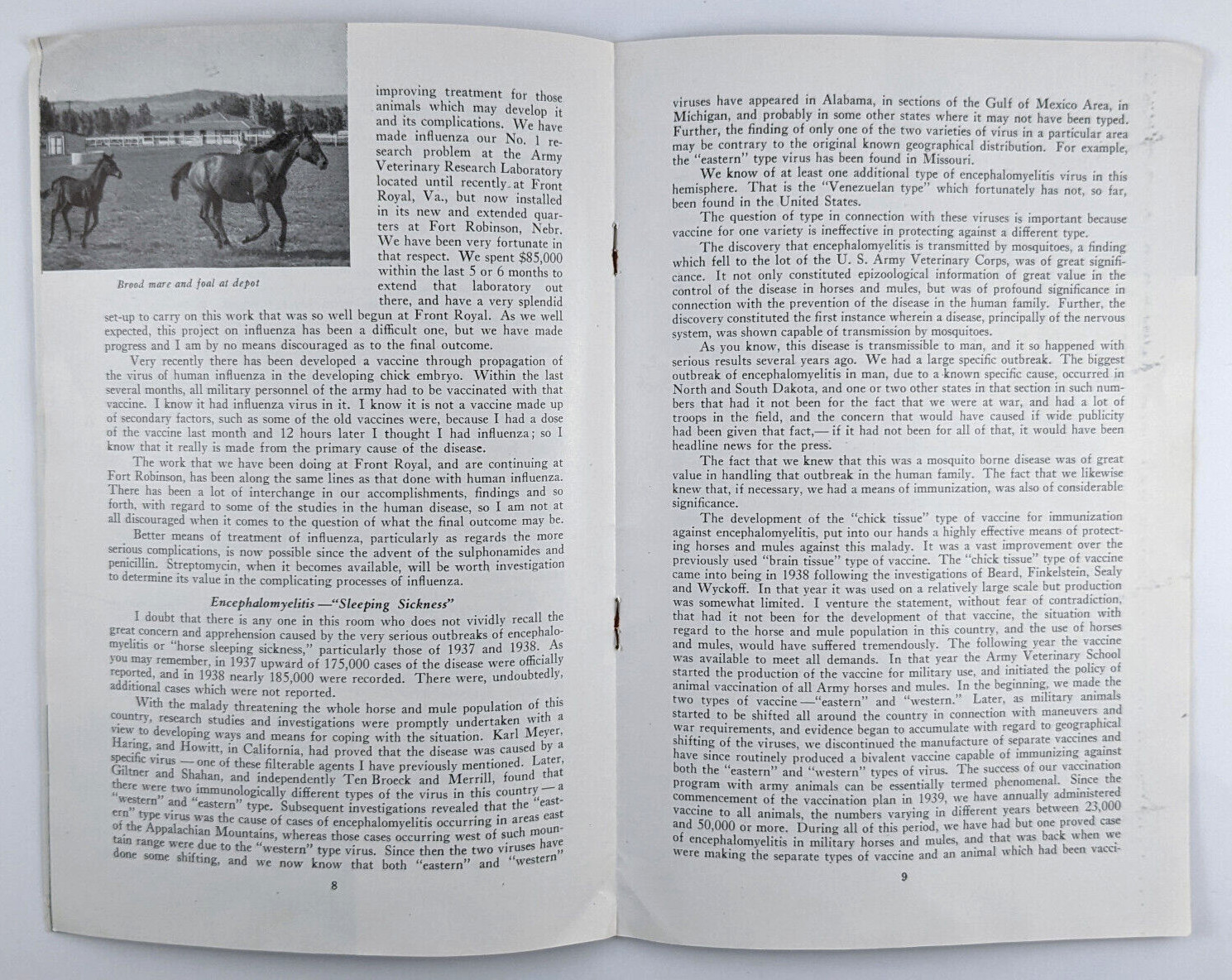 1946 Horse And Mule Association Brochure Preventing And Controlling Diseases
