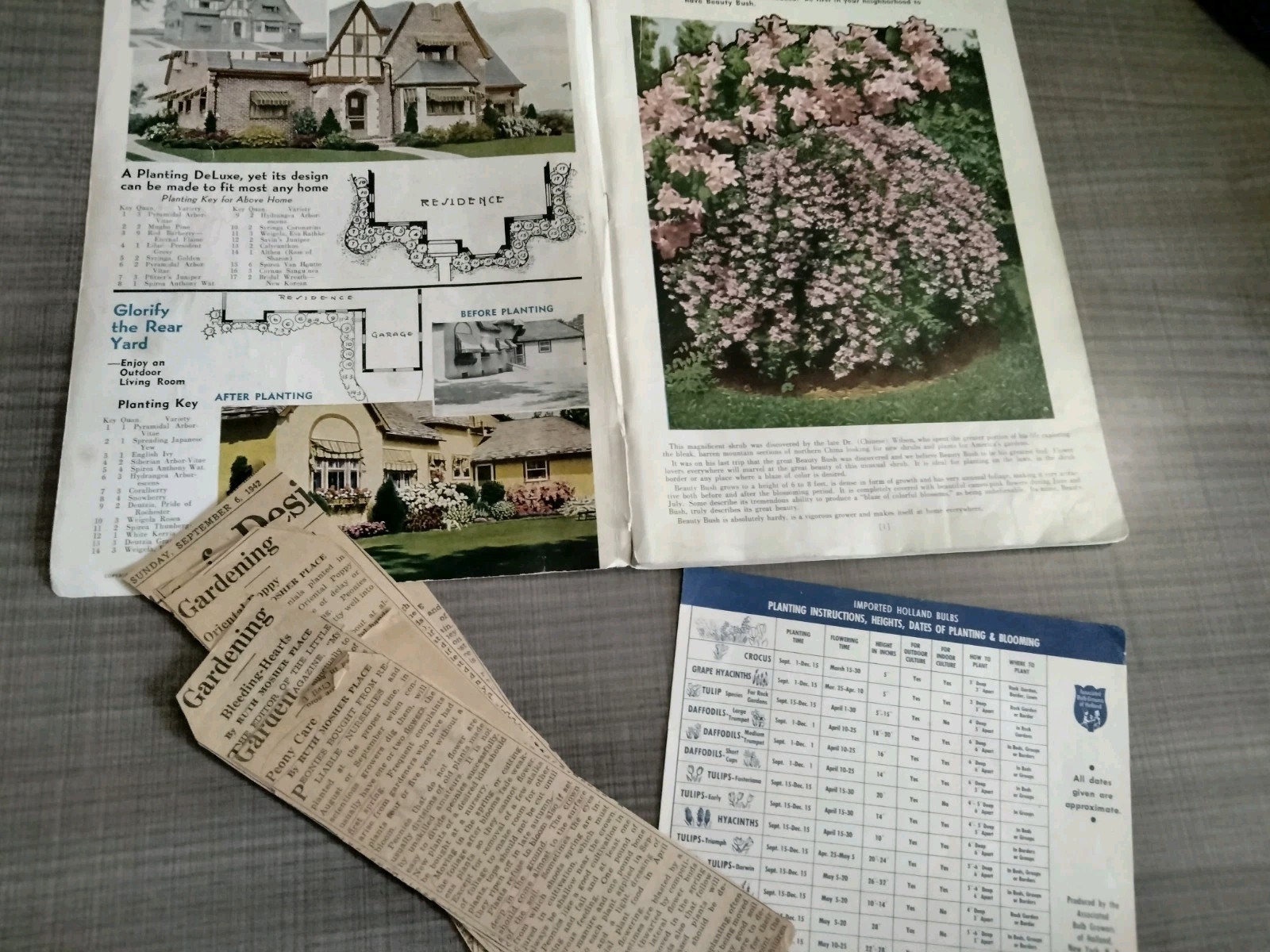 Vtg. 1939 Empire State Nursery Co. Fruits & Flowers Booklet + 2 African Violets