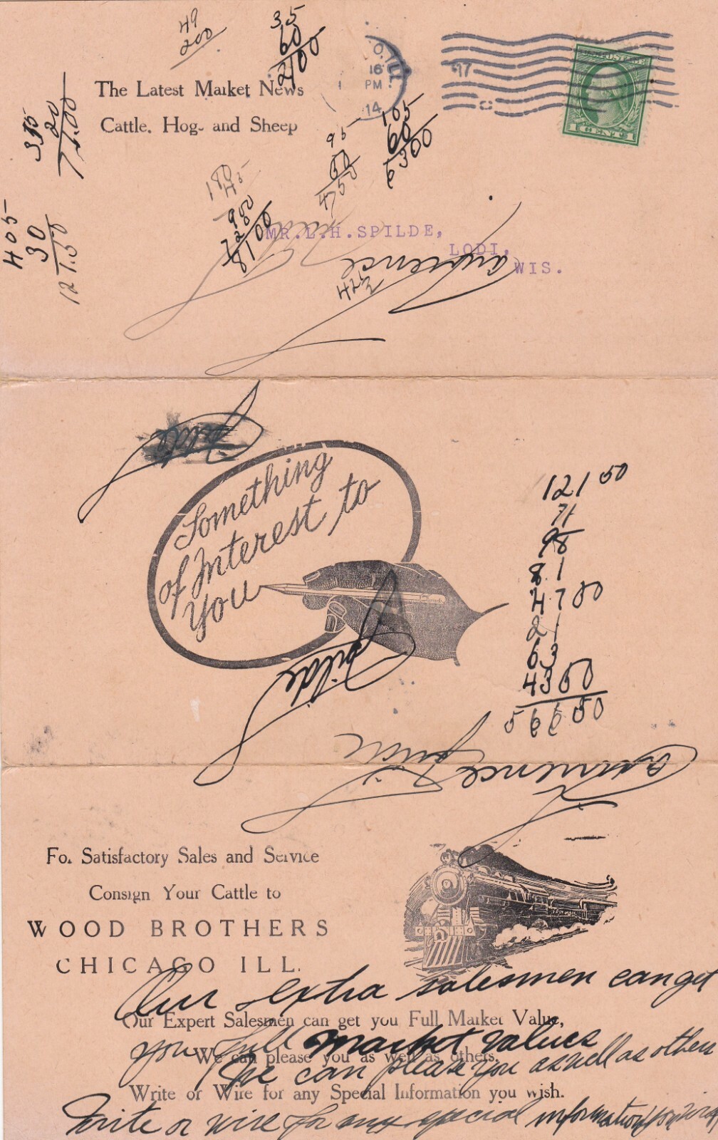 1914 The Latest Market News Cattle, Hog & Sheep Wood Bros. Chicago, Illinois