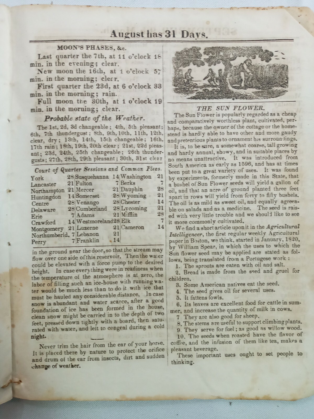 Vintage 1871 John Bear Baer&rsquo;s Agricultural Almanac Lancaster, PA Antique Farmers