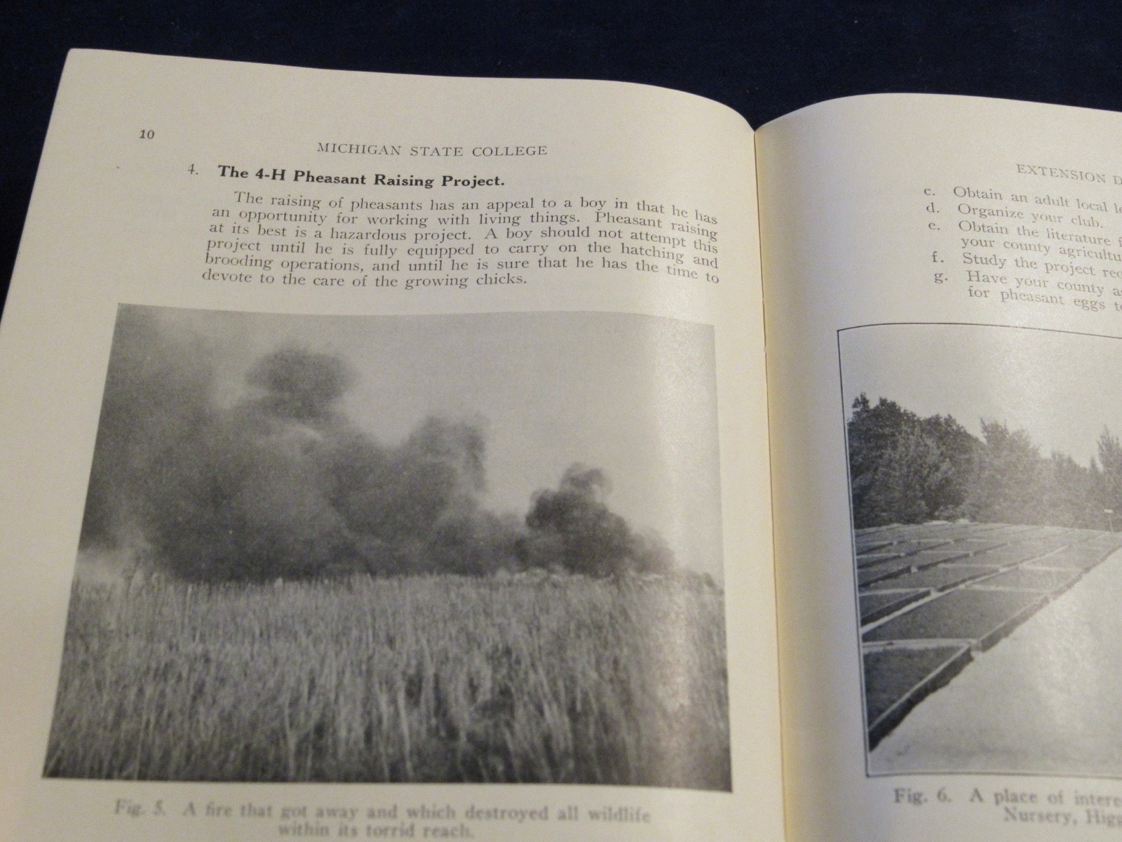 Vintage 1937 MSU Michigan State College Conservation Program for 4H Clubs C183