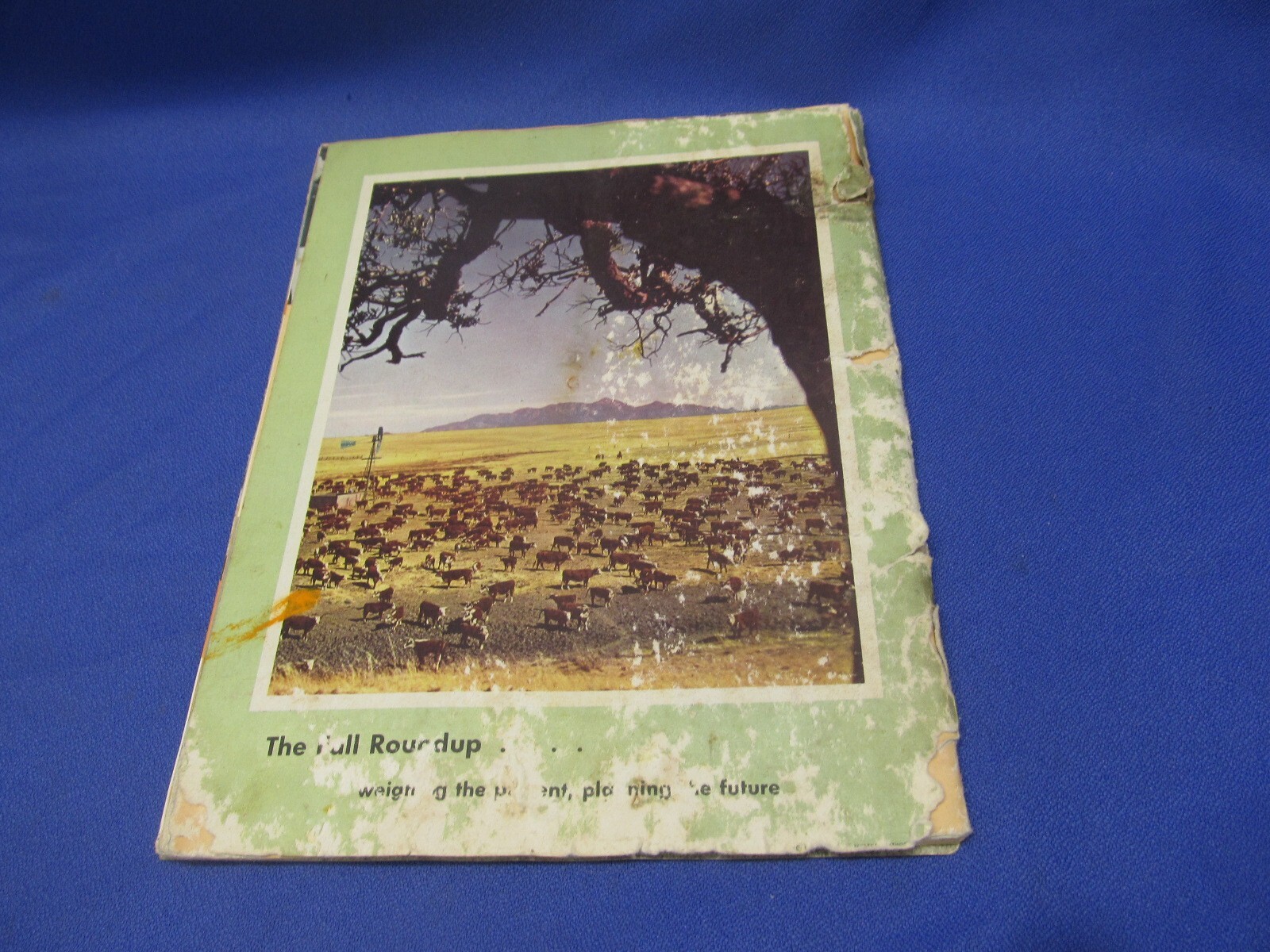 Your Future With Herefords Vintage Cattle Book Beef Cows American Association