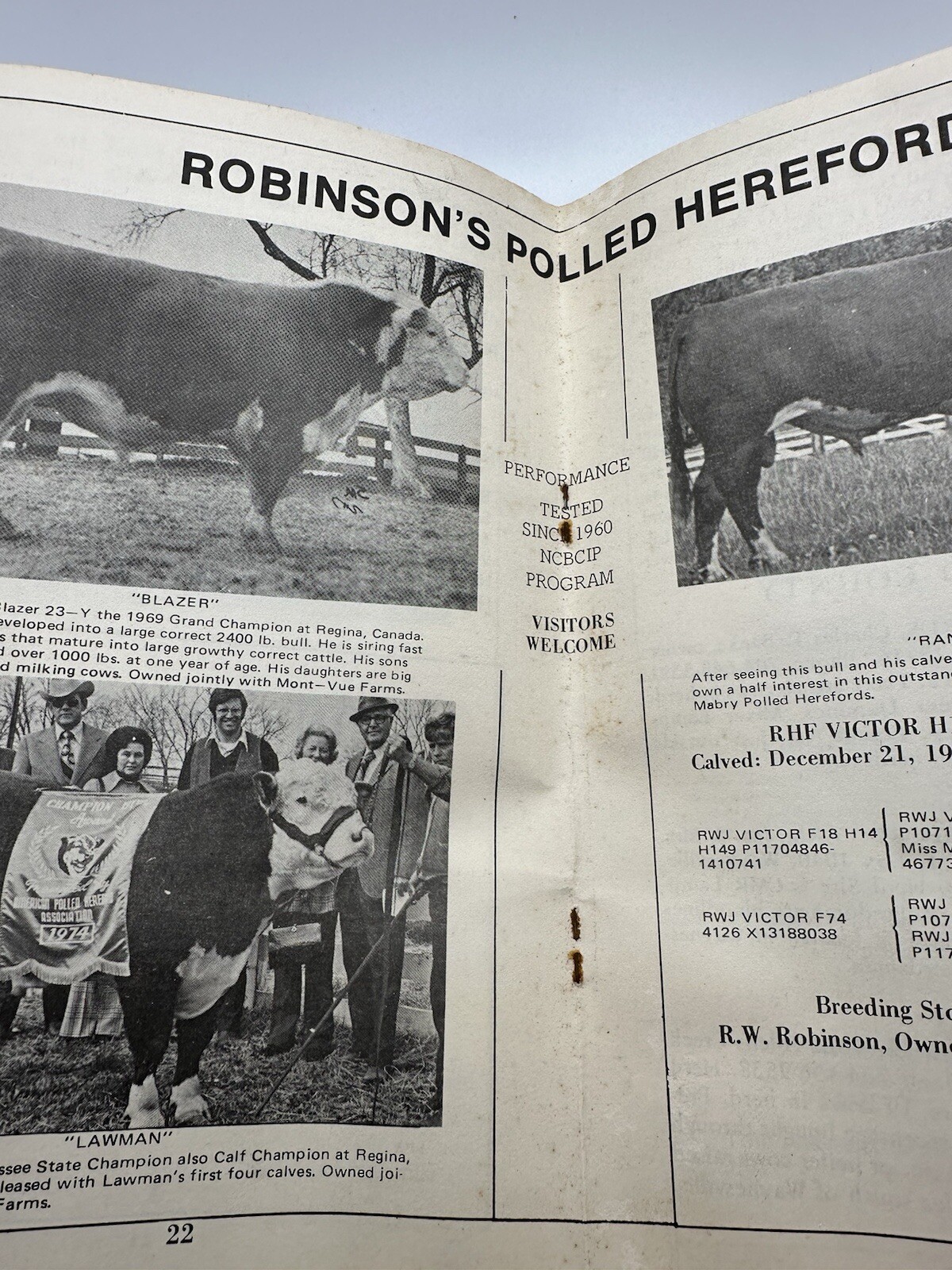 NC Breeder’s Directory Polled Hereford Association Cattle Catalog North Carolina