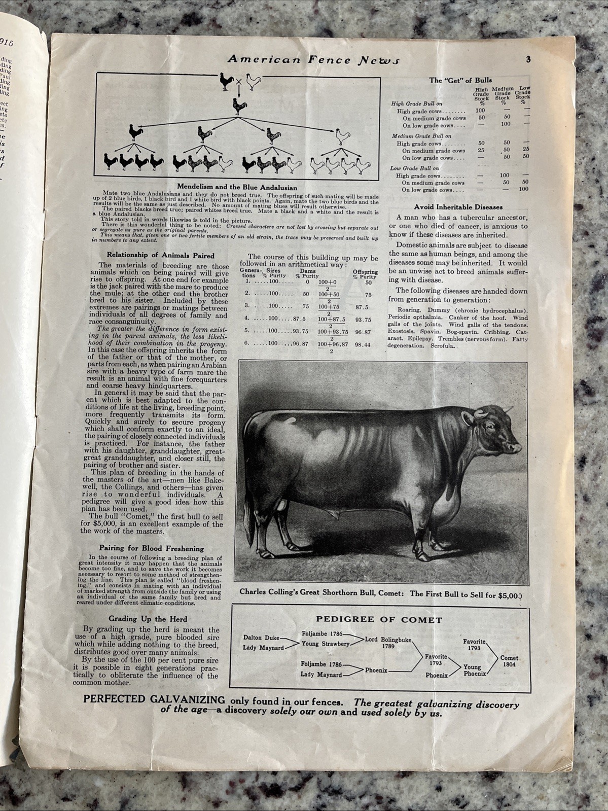 Antique 1915 American Farm Fence Cattle Trade Magazine Comet Shorthorn Bull