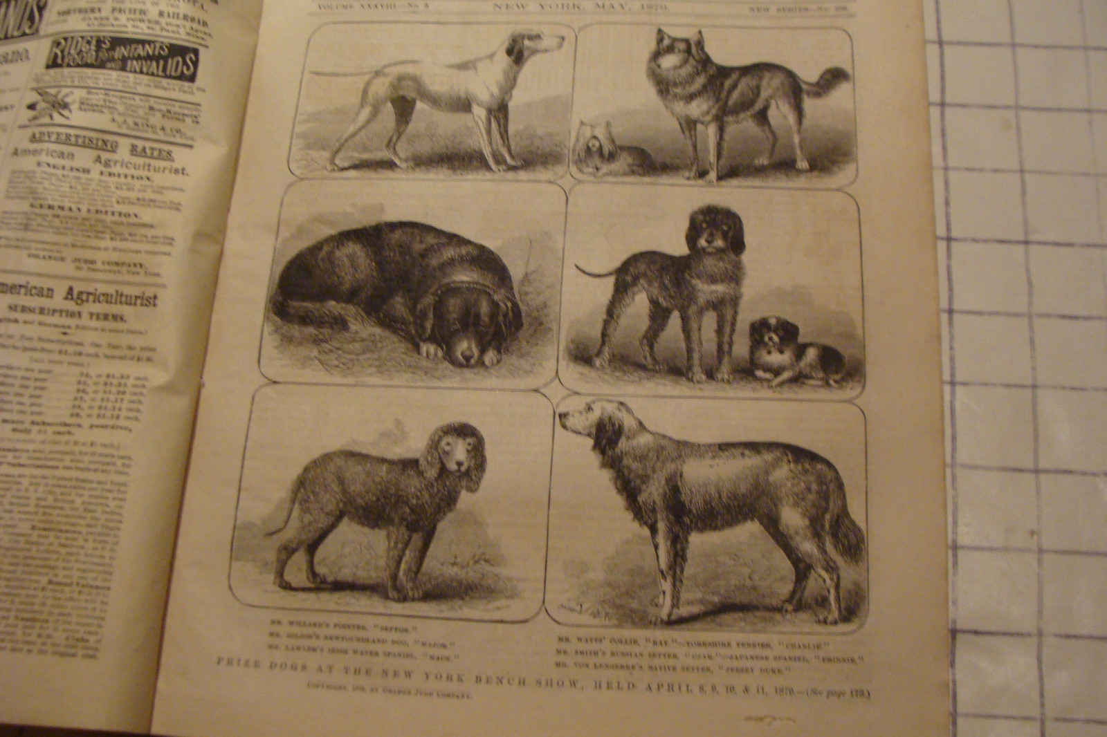 Vintage American Agriculturist 1879 May; great DOGS, SHEEP, MACHINES,