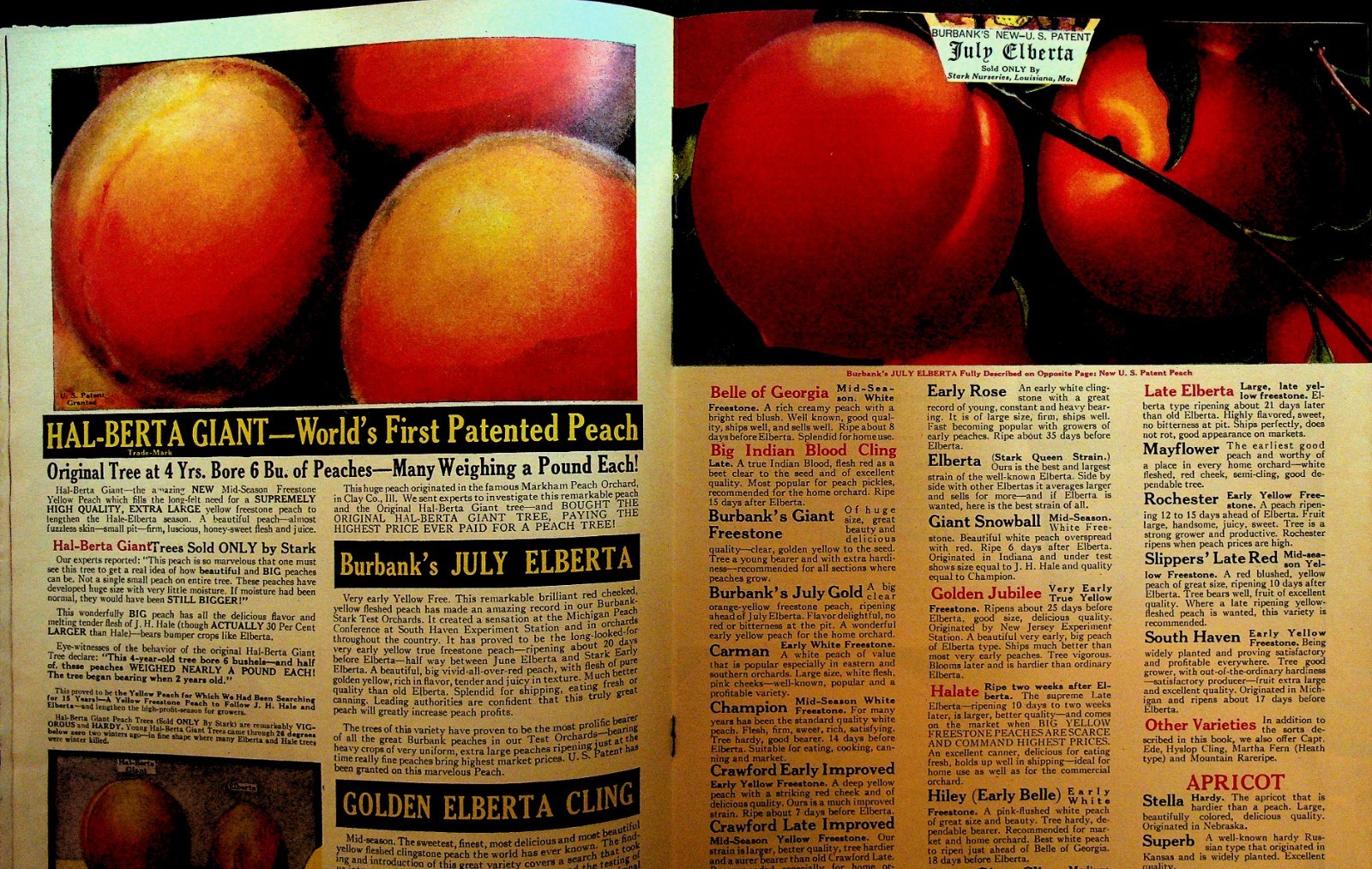 Stark 1937 Book of Fruits Catalog Stark Bros Nursery Louisiana Missouri