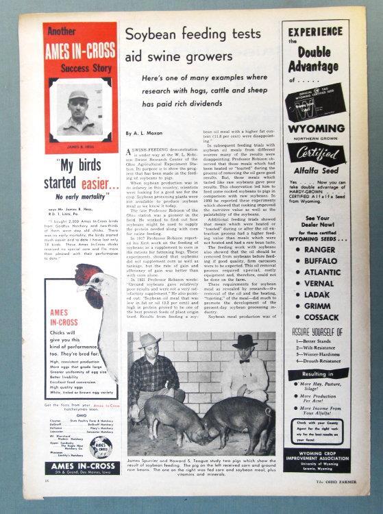 Original 1957 Poultry Ad Photo Endorsed by James Hess of Lititz, Pennsylvania