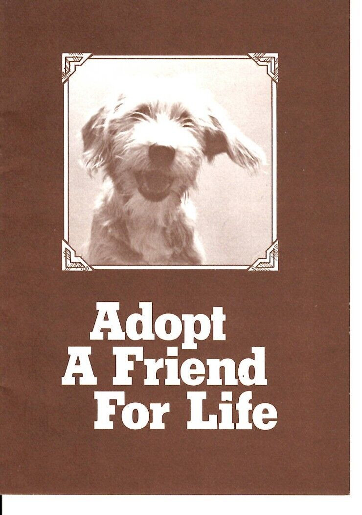 Adopt a Friend for Life The Denver Dumb Friends League Brochure 1977 Colorado