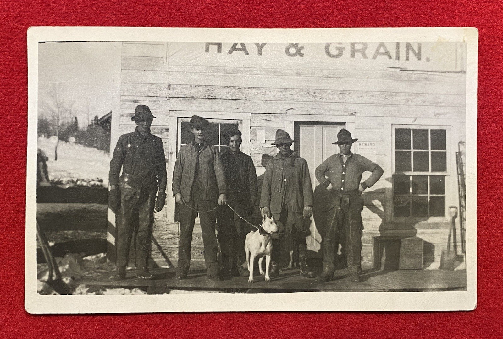 1900c **EARLY HAY & GRAIN STORE** ORIGINAL {UNUSED} REAL PHOTO POSTCARD (RPPC)!
