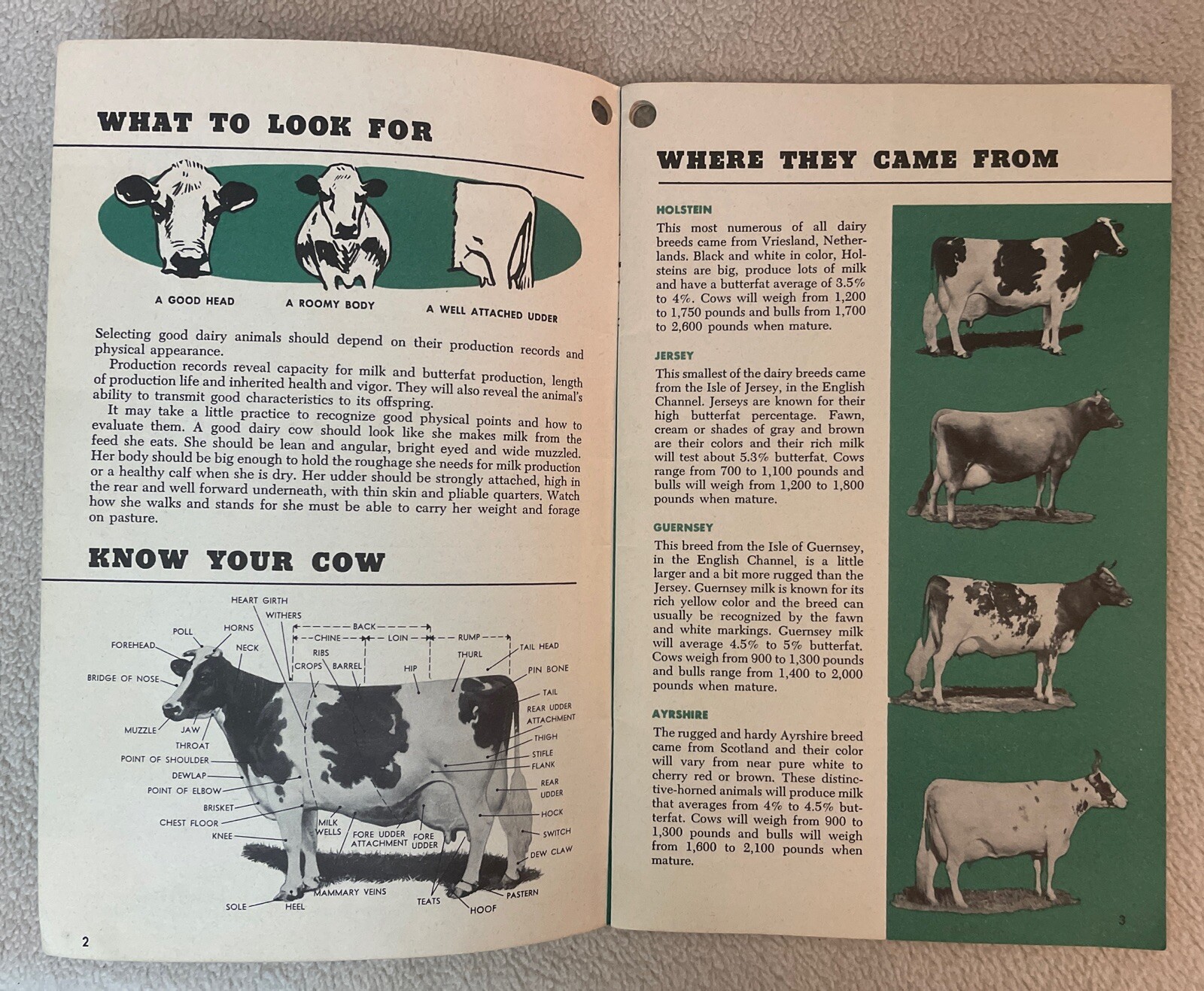 Vintage 1955 McMillen Feed Mills Management Manual FOR DAIRY Booklet