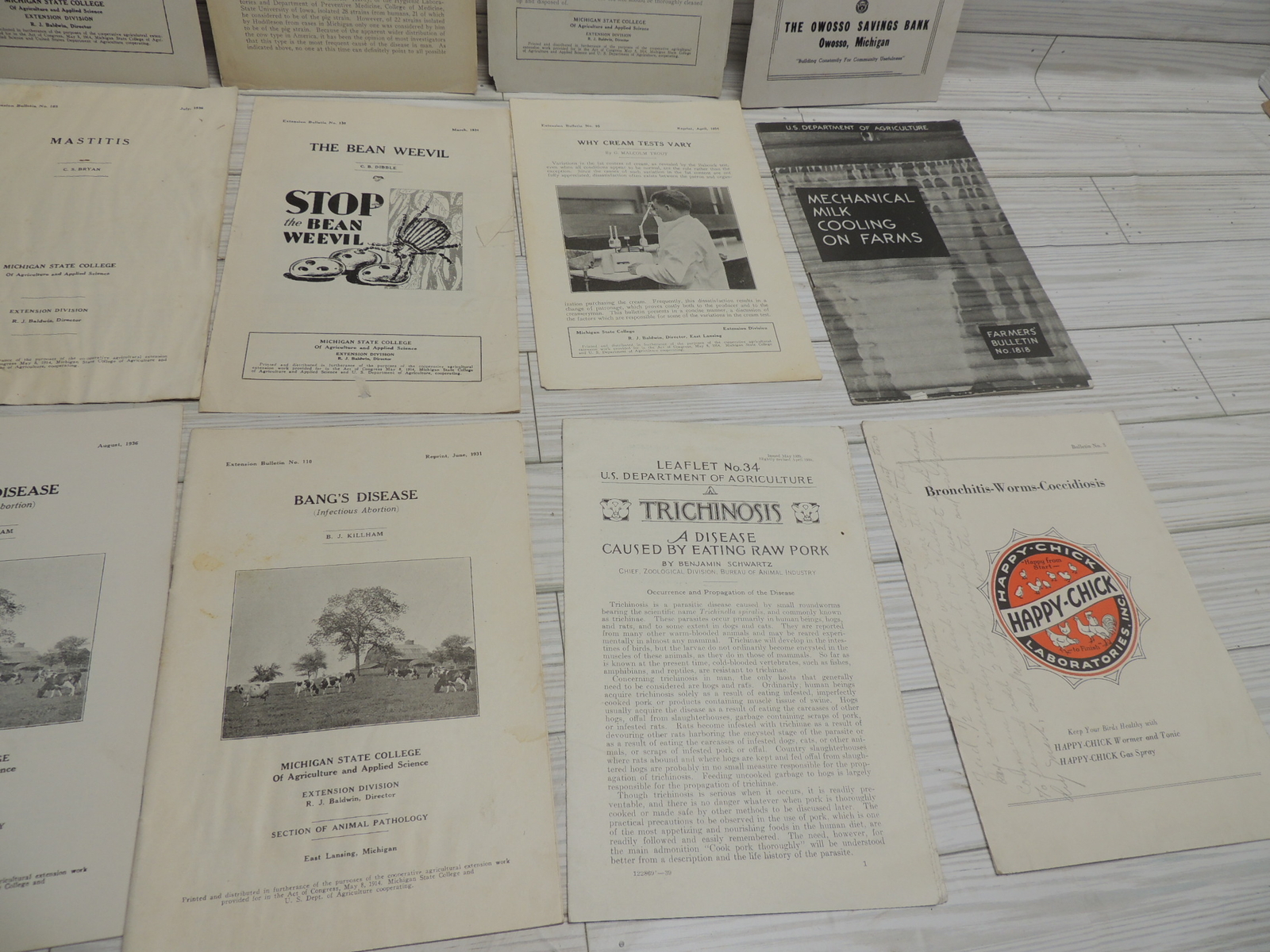 Lg Lot of Michigan State & USDA Bulletins 1920s-1930&rsquo;s Plus Happy Chick Brochure