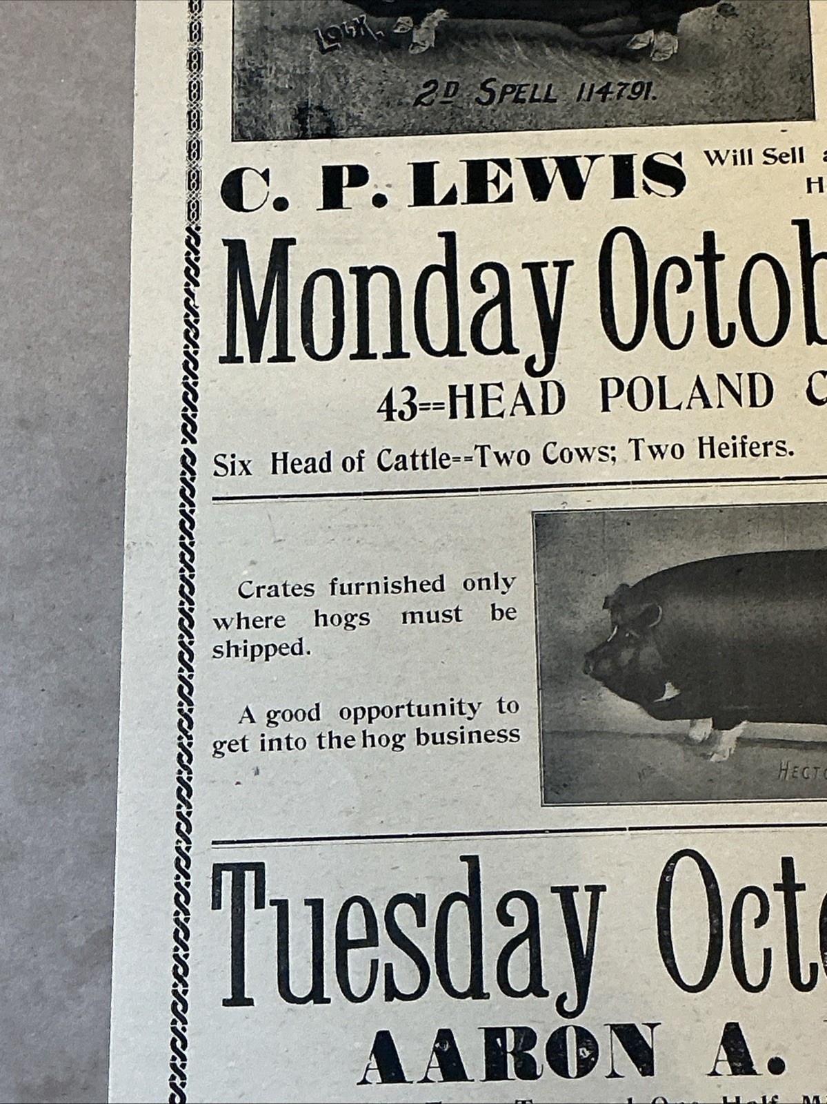 Antique 1911 Original Auction Poster China Hog Public Sale Ohio As Is INV-AC07Z