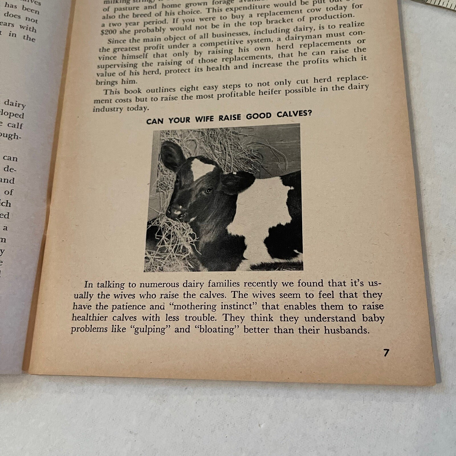 Albers Milling Company 1968 Carnation Albers Calf Plan Selecting Feeding Showing