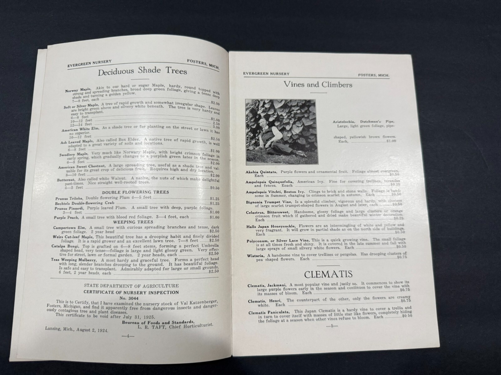 1930&rsquo;s Evergreen, Van Dusen, Rosedale Nursery Brochures…..4 Items
