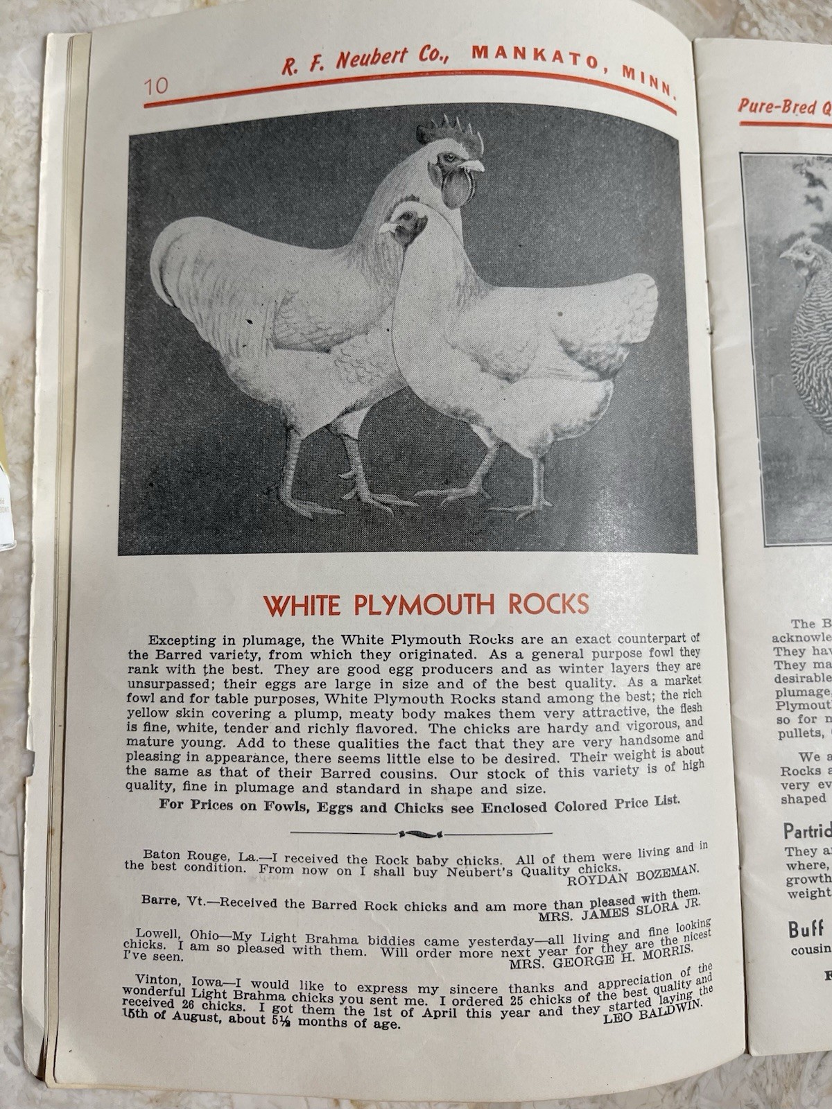 Vintage 1945 Neubert&rsquo;s Neubert Poultry + Supply Catalog Mankato MN