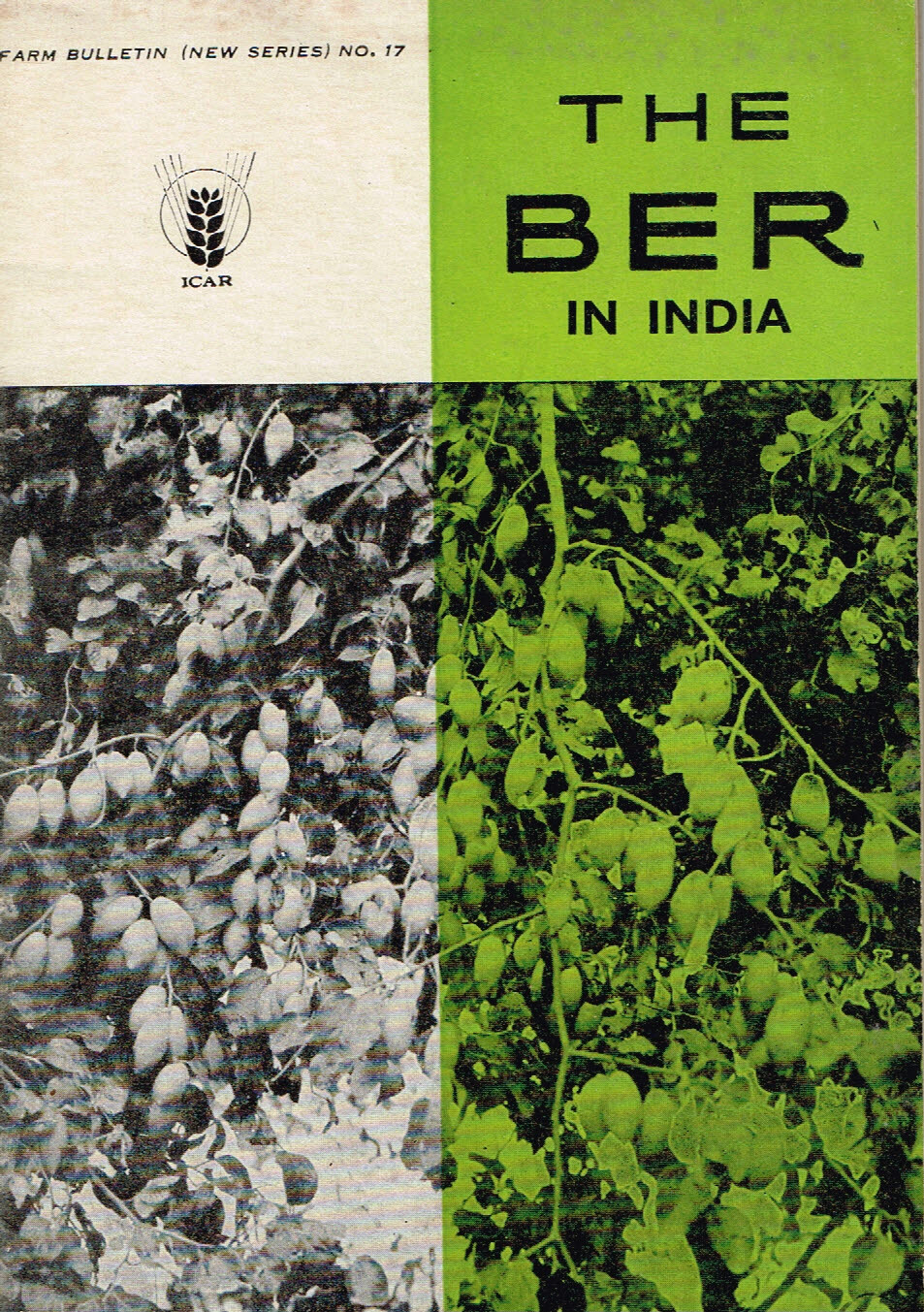 Vintage 1960s Farm Brochure India New Delhi Ber in India