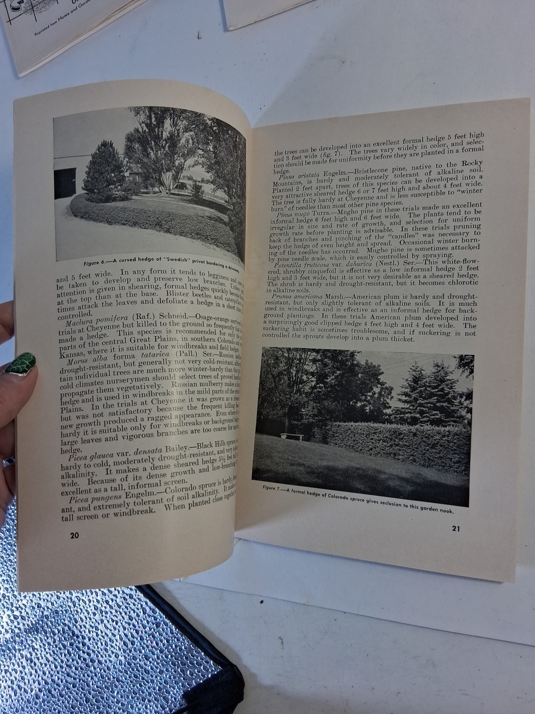 U.S. DEPARTMENT OF AGRICULTURE PAMPHLETS Read Look Plumbing Shrub Freezing Meat
