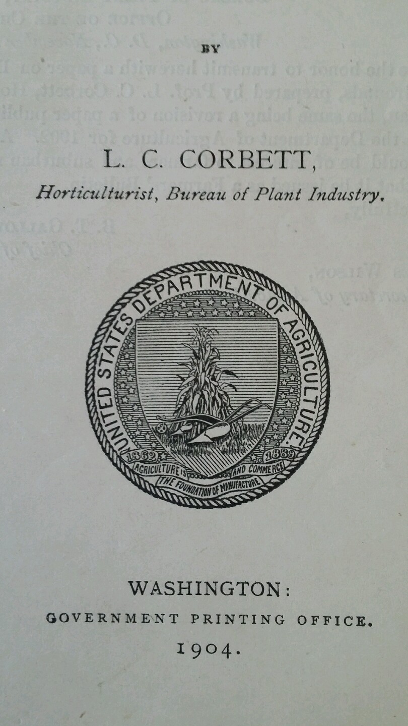 U.S. Department of Ag Vintage 1904 Farmers&rsquo; Bulletin #185 Beautify Home Grounds
