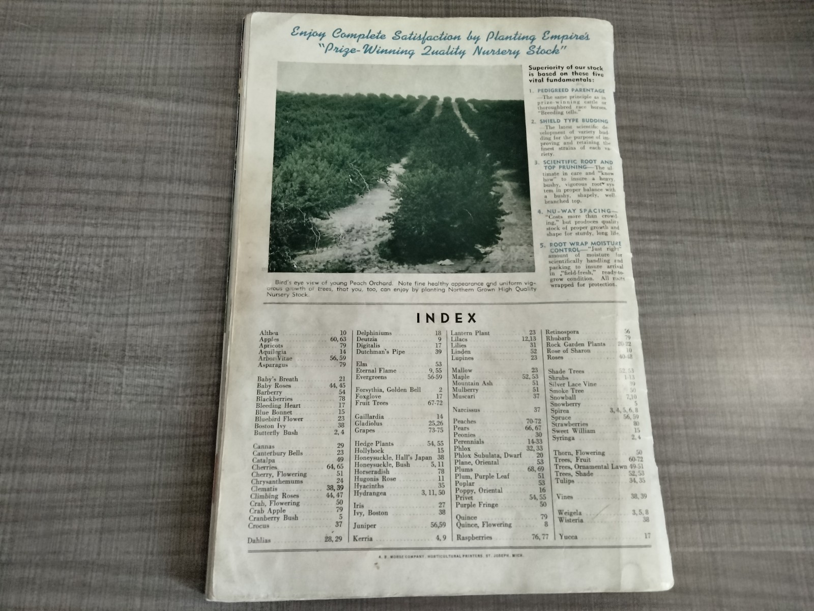 Vtg. 1939 Empire State Nursery Co. Fruits & Flowers Booklet + 2 African Violets