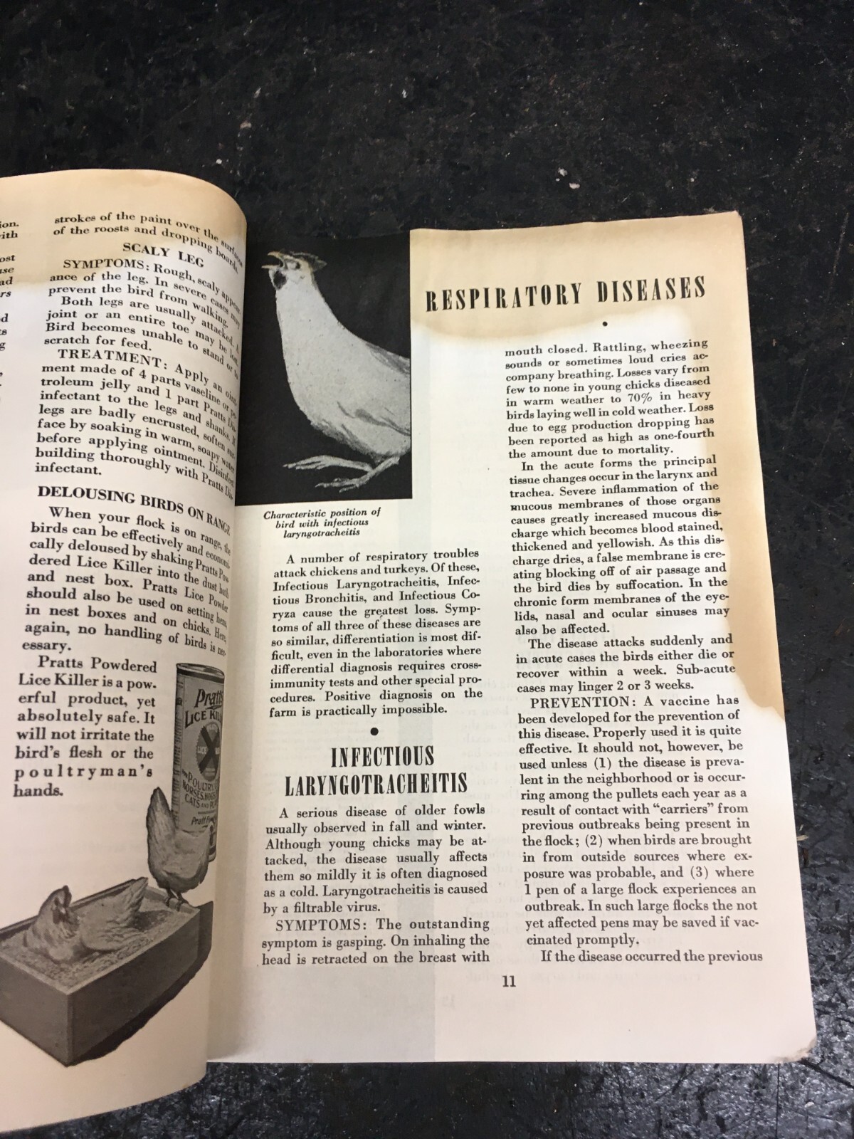 Vintage The Poultry Health Guide pamphlet 1940s Farm Guide Book