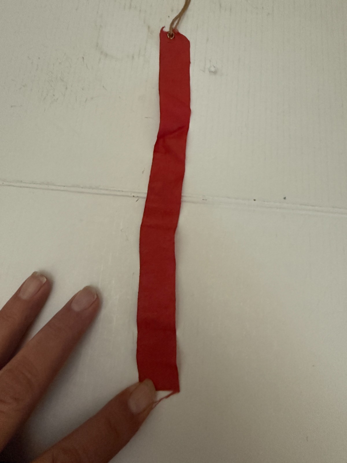 1909 Central Poultry & Pet Stock Show Monroe Iowa Second Premium Ribbon
