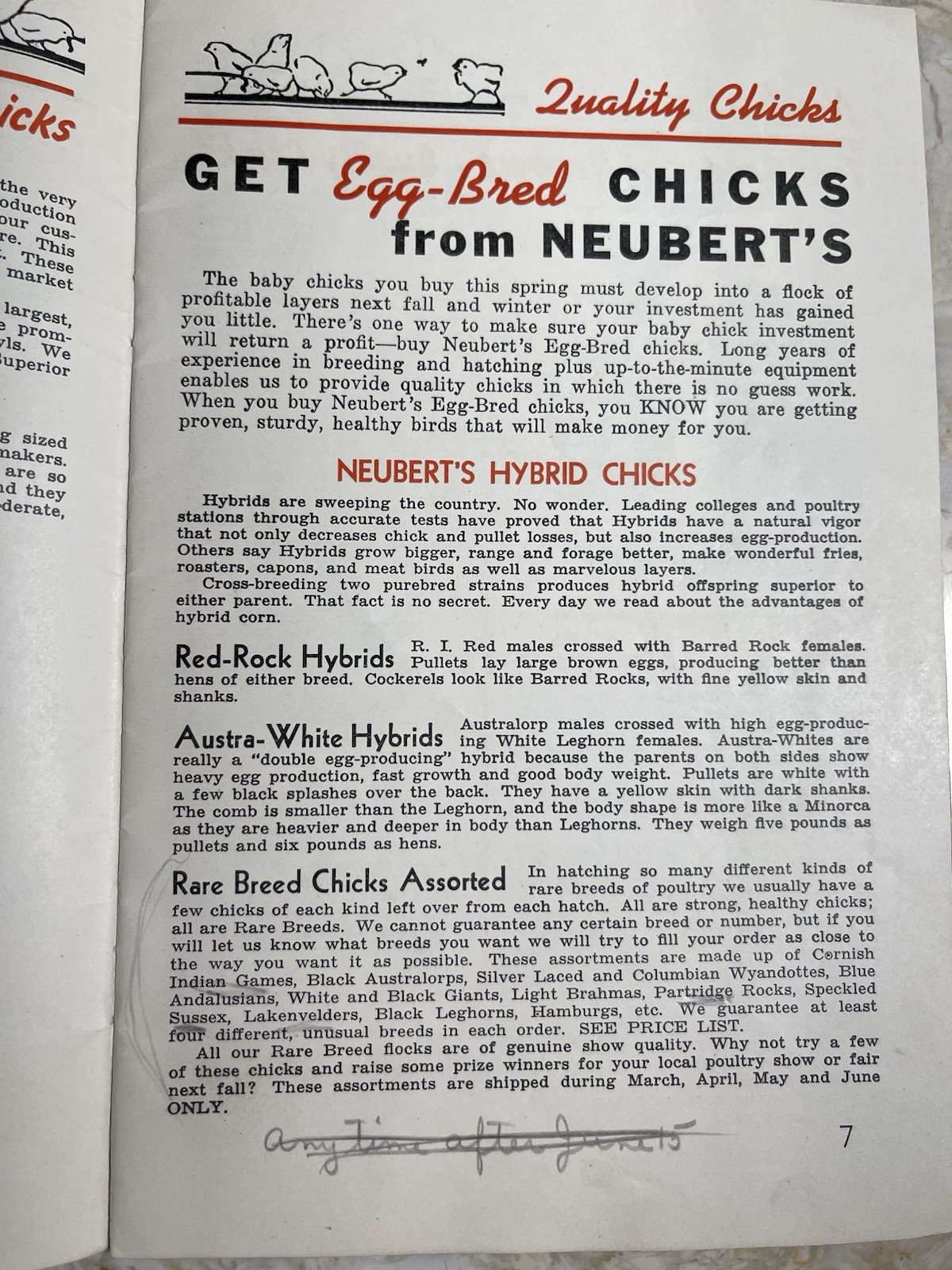Vintage 1945 Neubert&rsquo;s Neubert Poultry + Supply Catalog Mankato MN