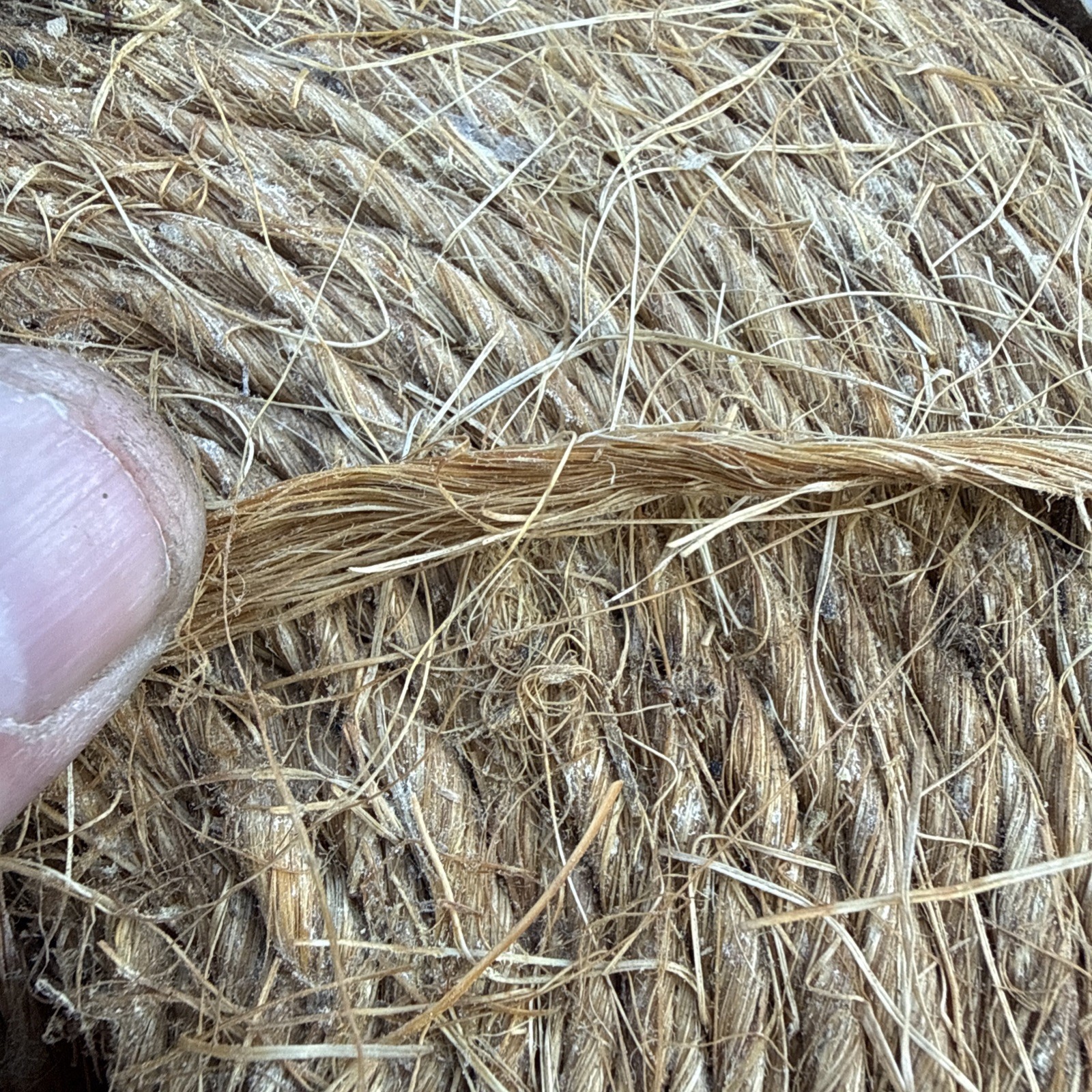 1 Roll Twine 4500 Feet Biodegradable Country Store Arts Crafts Packaging