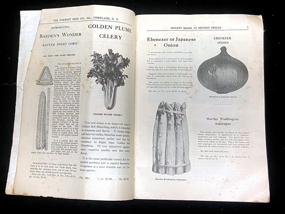 1925 and 1926 FORREST&rsquo;S HONEST SEEDS – FORREST SEED CO CATALOGUES – TWO Each 72p