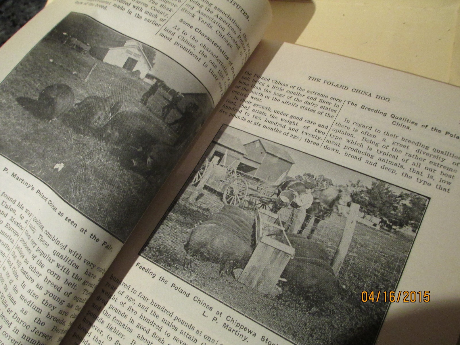 1909 WISCONSIN FARMERS INSTITUTE BULLETIN- VINTAGE AGRICULTURE BOOK SOFT COVER