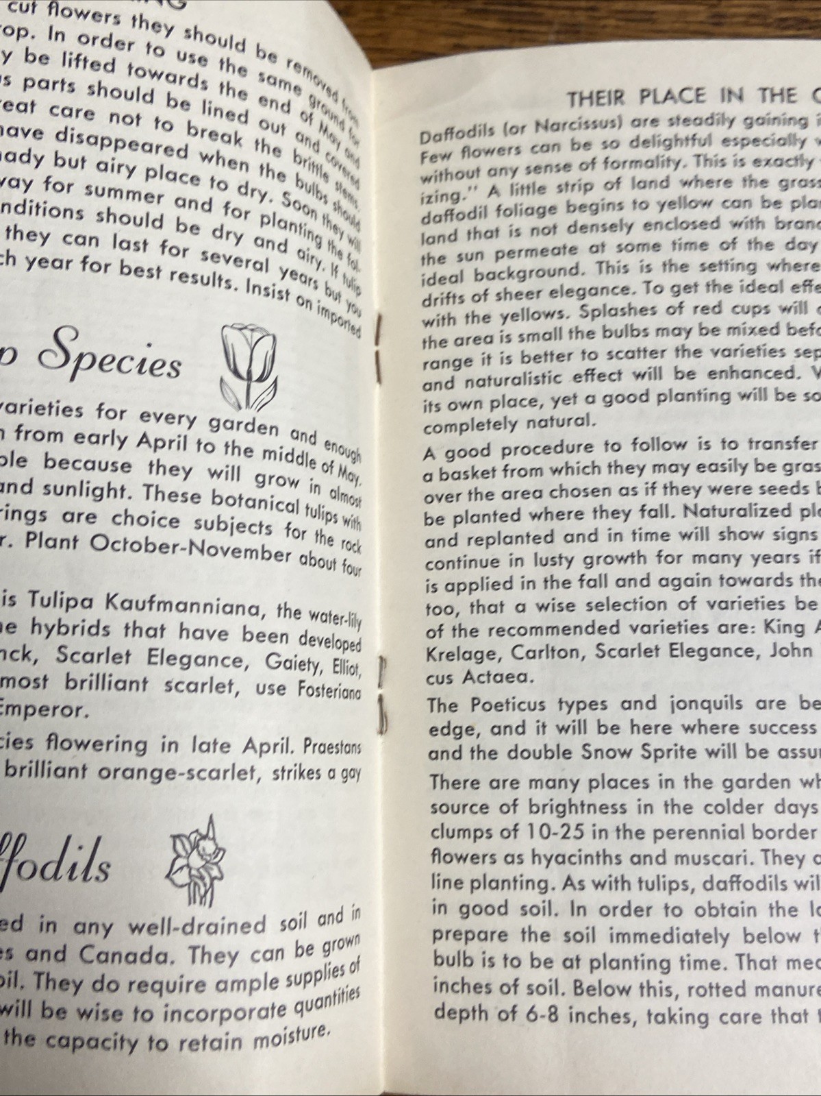 Bulb Planting Guide Associated Bulb Growers of Holland Hart & Vick Rochester NY