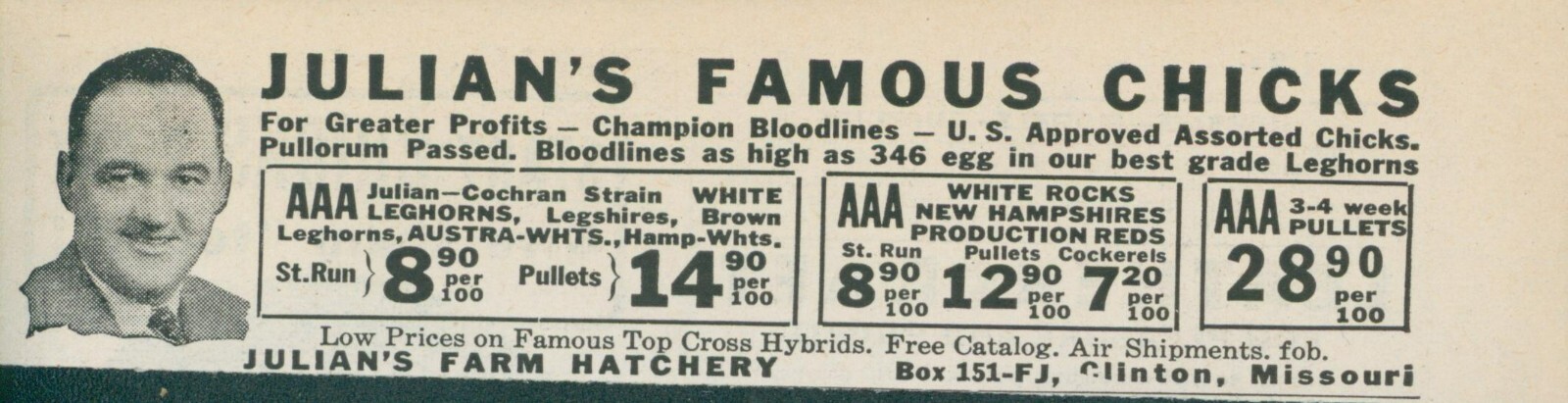 1955 Julians Farm Hatchery Famous Chicks Champion Bloodline Vintage Print Ad FJ1