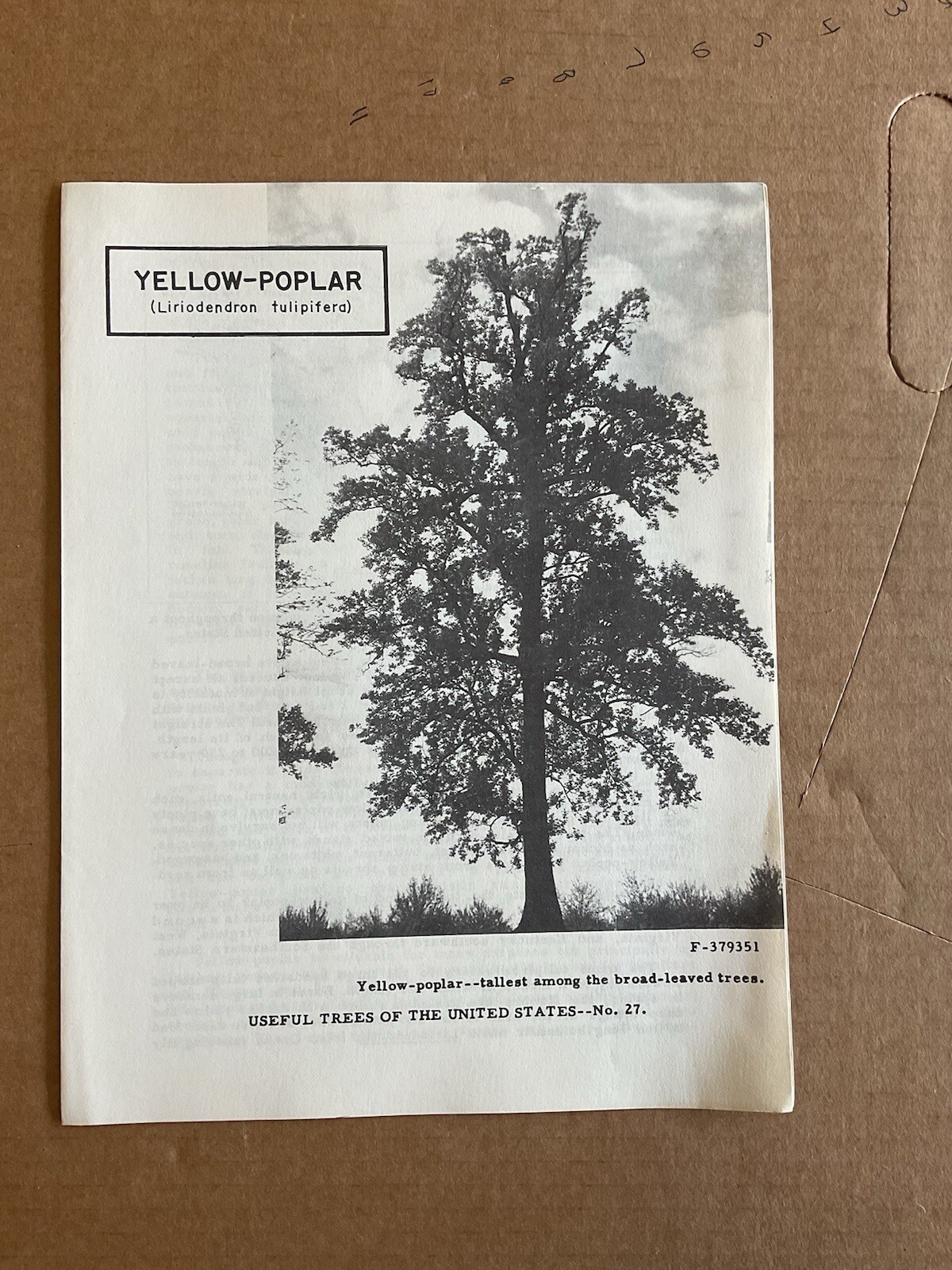 USA DEPT OF AGRICULTURE USEFUL TREES YELLOW-POPLAR Information Brochure B10