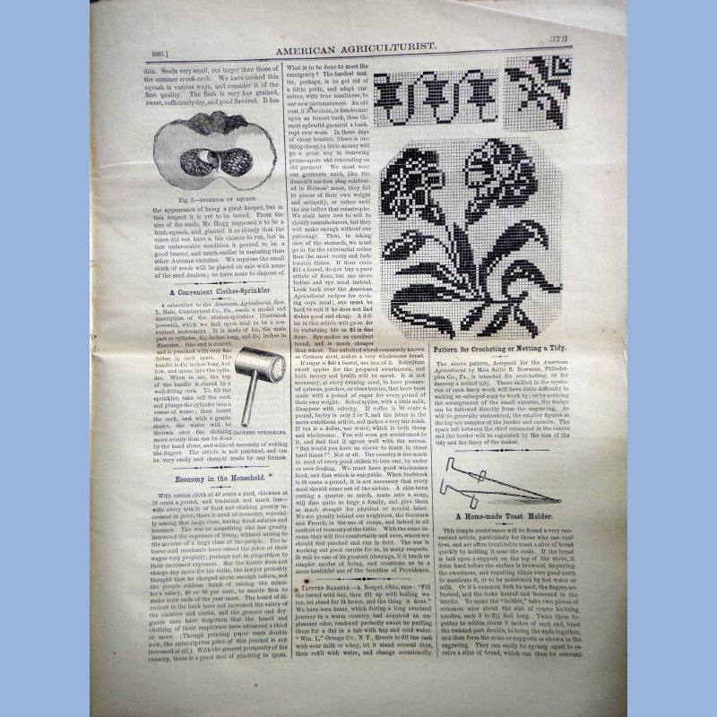 1863 DEC antique AMERICAN AGRICULTURIST farm garden household orange judd