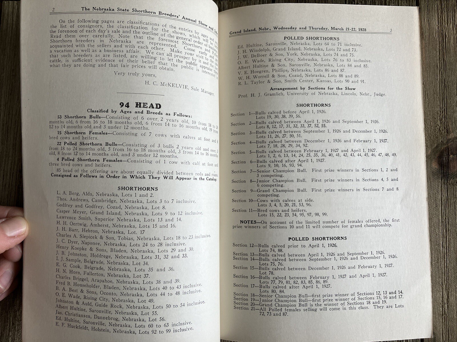 RARE Vintage 1928 Nebraska State Shorthorn Breeders’ Annual Show & Sale Cows