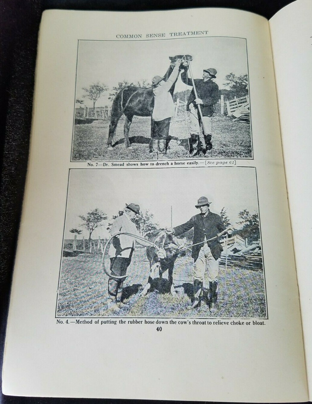 1911 Common Sense Treatment Farm Animals CD Smead National Stockman & Farmer