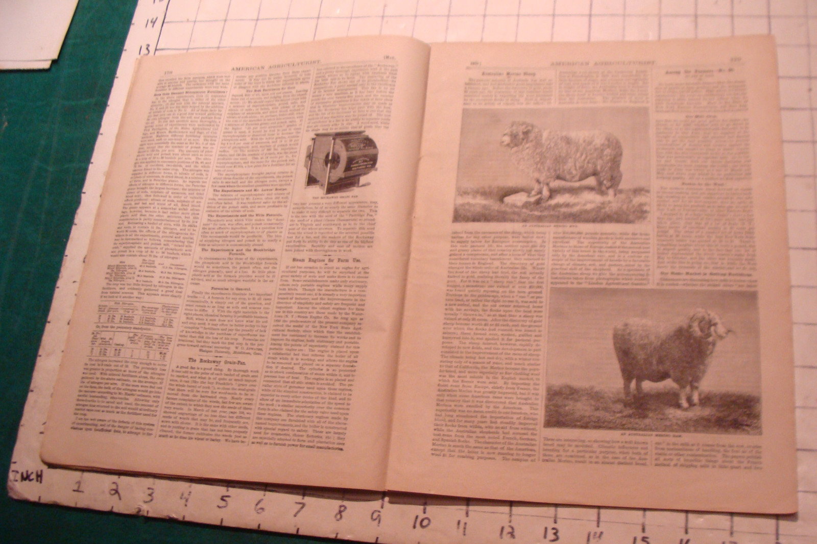 Vintage American Agriculturist 1879 May; great DOGS, SHEEP, MACHINES,