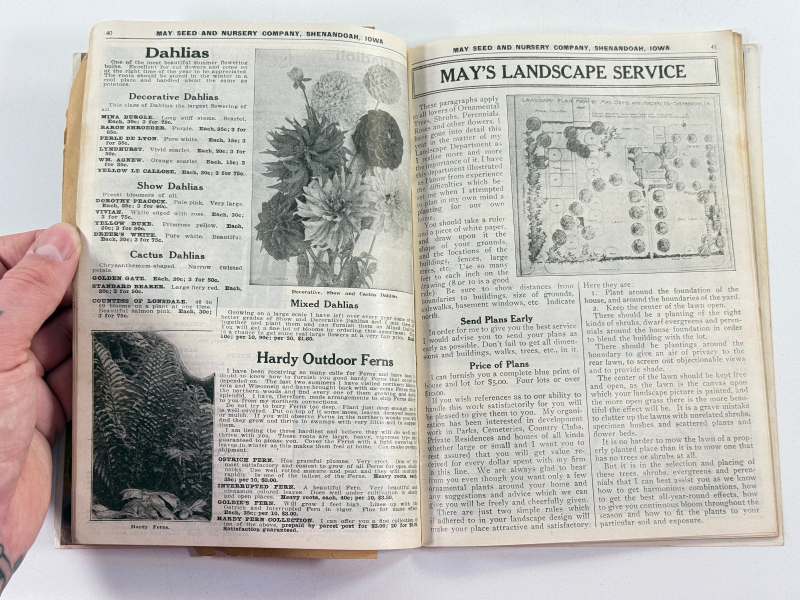 1924 May Seed Advertising Catalog Shenandoah Iowa IA