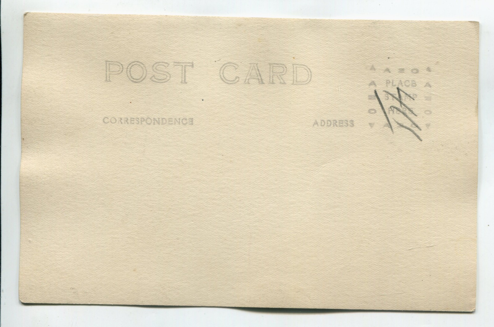 Spotted Poland China Hogs, C.A. Moore’s Farm Vintage Postcard