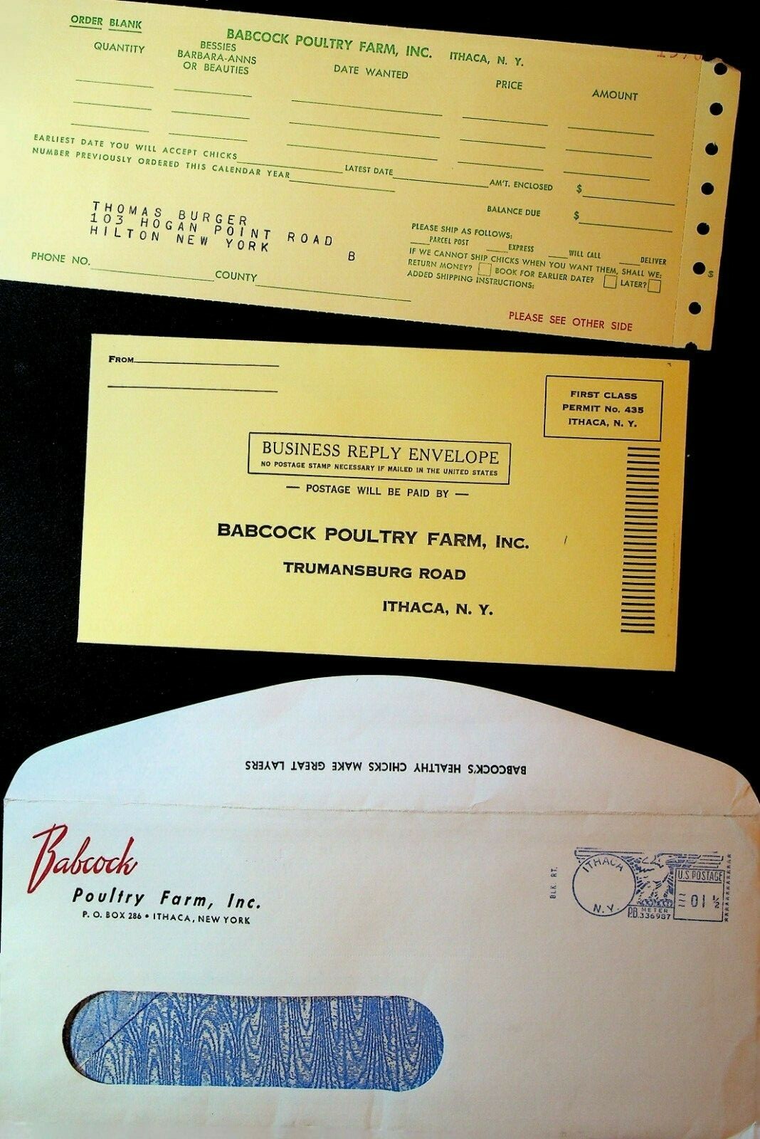 Babcock Poultry Farm Ithaca NY Ad Brochure Hens Babcock Bessies Lotties 1958