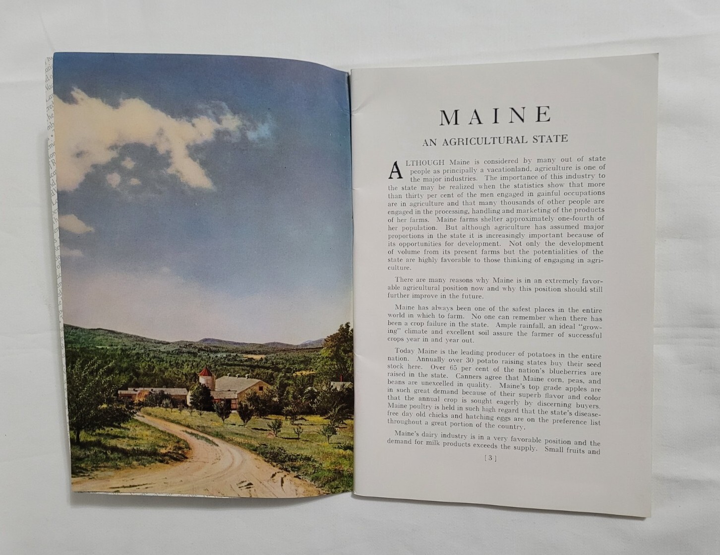 Vintage Maine Agriculture Booklet Cattle Corn Fruit Chickens Farming Ephemera