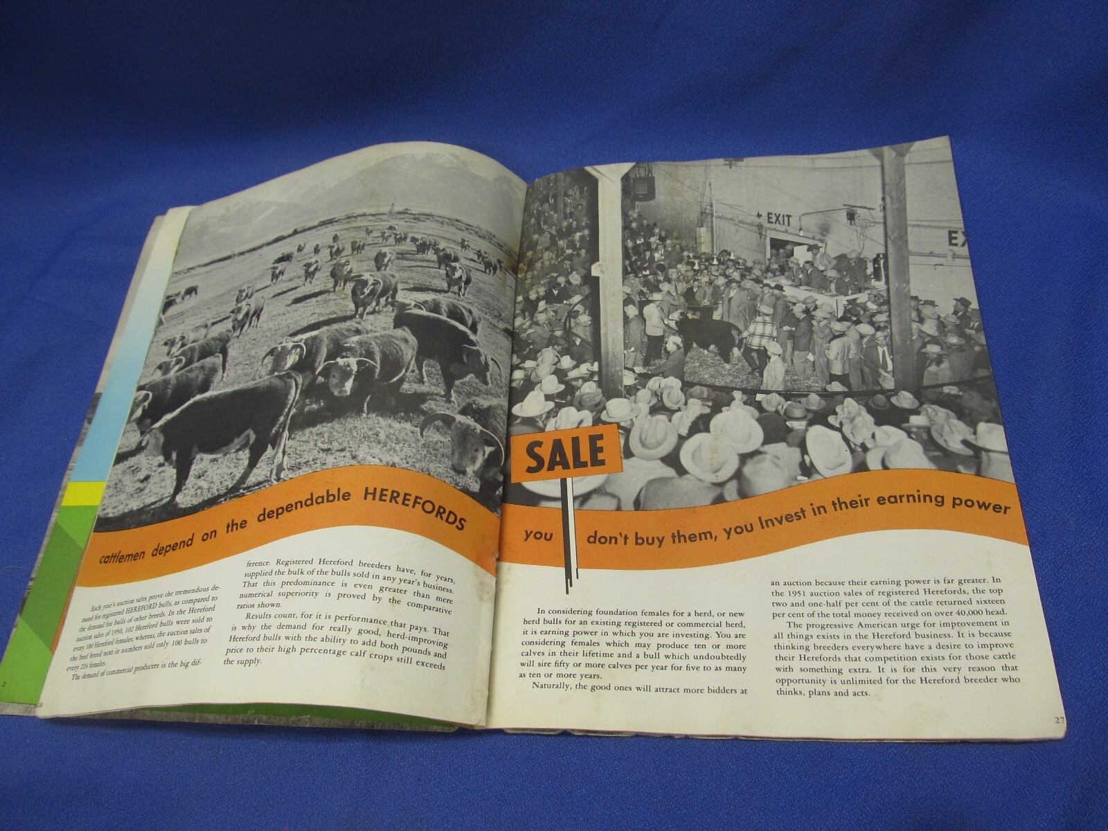 Your Future With Herefords Vintage Cattle Book Beef Cows American Association