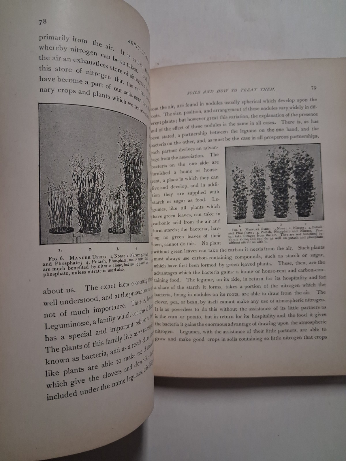 1911 AGRICULTURE Soils Formation TILLAGE DRAINAGE IRRIGATION Brooks