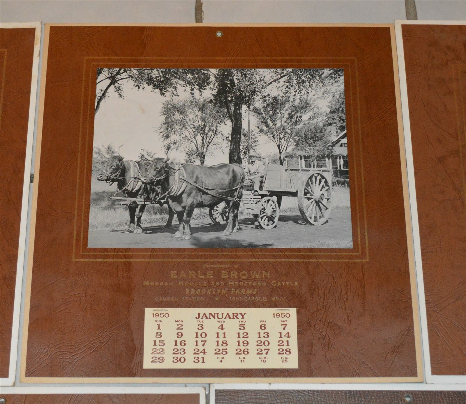5 1946-1957 Earle Brown Calendars Camden Farms Mpls Morgan Horses
