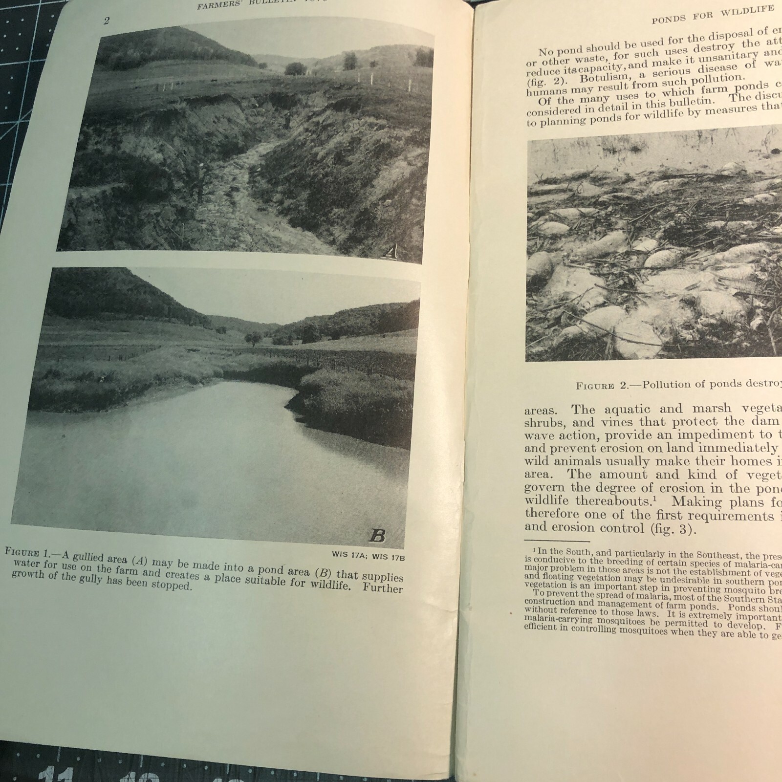 1940s Ponds for Wildlife Booklet Farmers Bulletin US Department of Agriculture