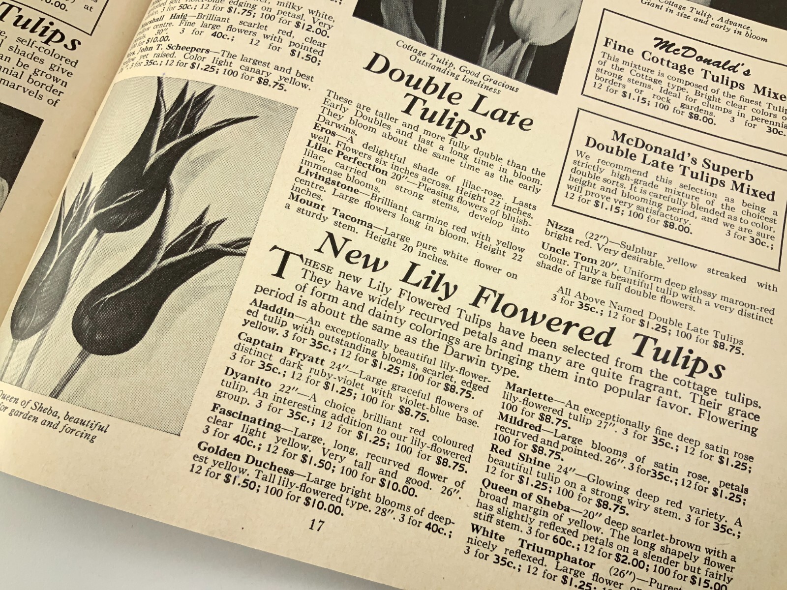 McDonald&rsquo;s Seeds Plants Bulbs Catalogue Fall 1961 Catalog Ottawa Canada EE630