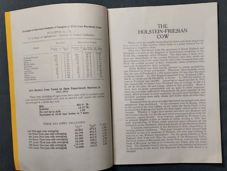 1913 Bulletin Holstein Friesian Association America Brattleboro Vermont Cow